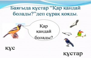 Ертегі оқиық!